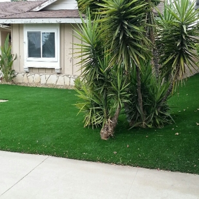 Artificial Grass Leesburg Florida Lawn Back Yard