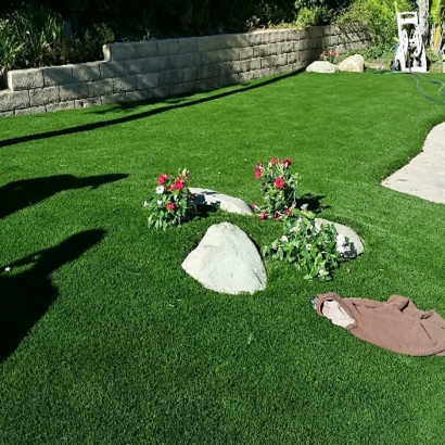 Artificial Grass Lisbon Florida Landscape Commercial Landscape