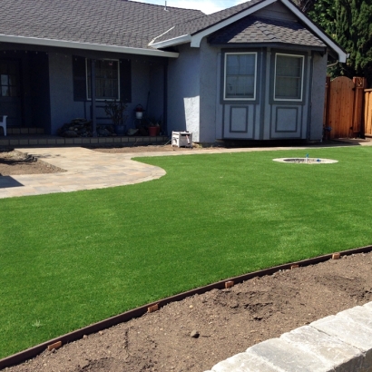 Artificial Grass Ocoee Florida Landscape Commercial Landscape