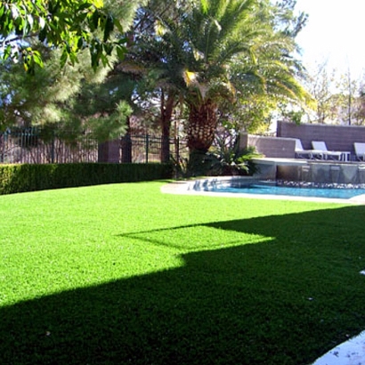 Artificial Grass Ponce Inlet Florida Lawn Front Yard