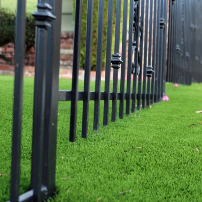 Artificial Grass Seville Florida Landscape