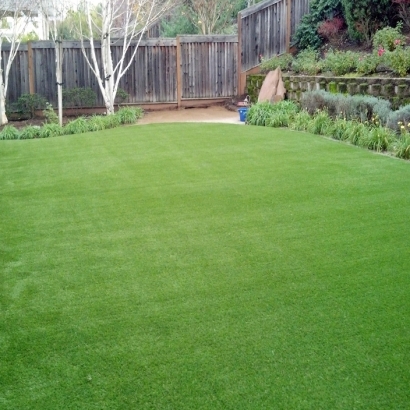 Artificial Grass Sorrento Florida Lawn Back Yard