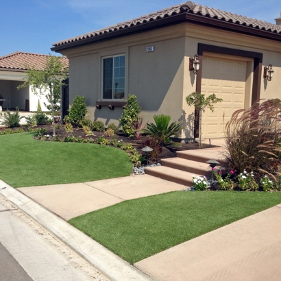 Artificial Grass Wekiwa Springs Florida Lawn