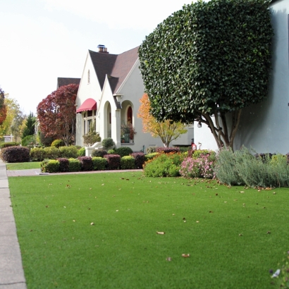 Artificial Grass Zephyrhills North Florida Lawn Back Yard