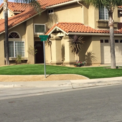 Artificial Grass Zephyrhills South Florida Lawn Back Yard