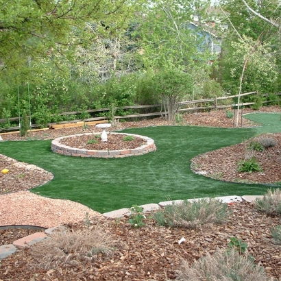 Artificial Grass Zephyrhills West Florida Landscape