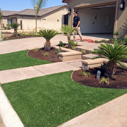 Artificial Turf Alafaya Florida Landscape