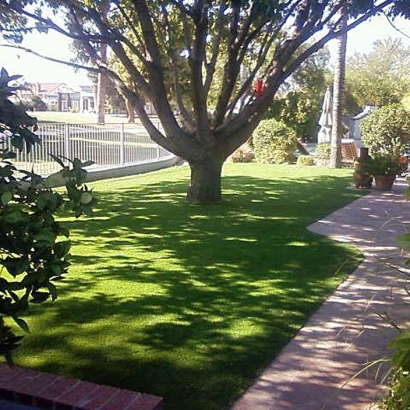 Artificial Turf Astatula Florida Lawn Front Yard