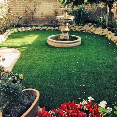 Artificial Turf Cypress Gardens Florida Lawn Recreational