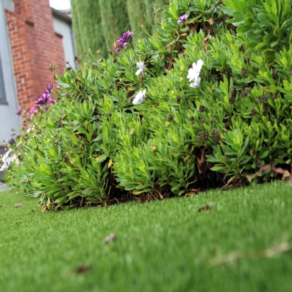 Artificial Turf Daytona Beach Shores Florida Lawn Back Yard