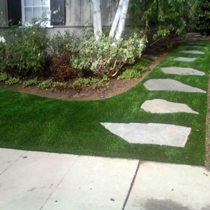 Artificial Turf Eagle Lake Florida Lawn Back Yard