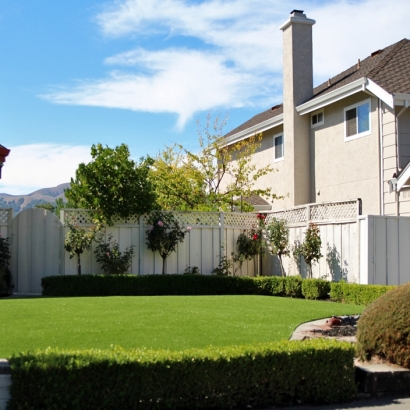 Artificial Turf Lake Alfred Florida Landscape Front Yard