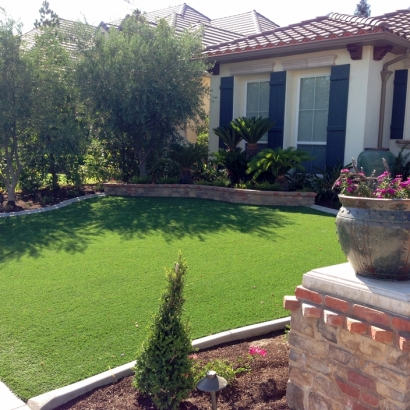 Artificial Turf Lake Butler Florida Lawn