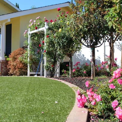 Artificial Turf Leesburg Florida Landscape Back Yard