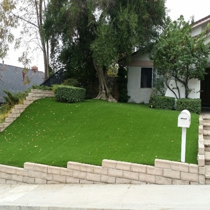 Artificial Turf Lisbon Florida Lawn Front Yard