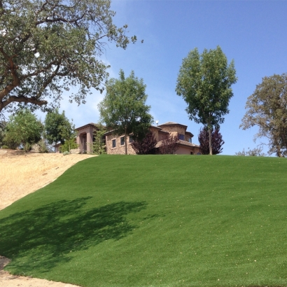 Artificial Turf Longwood Florida Landscape Back Yard