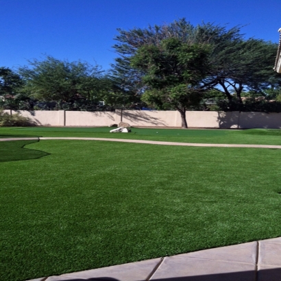 Artificial Turf Meadow Woods Florida Landscape Back Yard