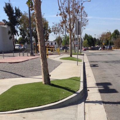 Artificial Turf Port Orange Florida Lawn Front Yard