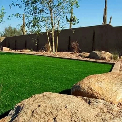 Artificial Turf Sharpes Florida Landscape Back Yard