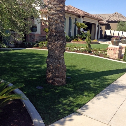 Artificial Turf Southchase Florida Landscape Parks