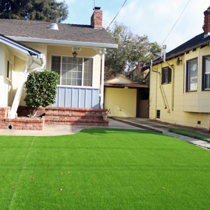 Artificial Turf Trilby Florida Lawn Back Yard