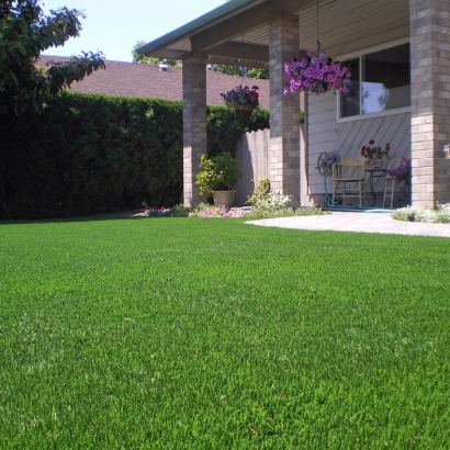 Artificial Turf Wedgefield Florida Landscape Back Yard