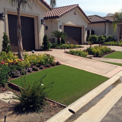 Artificial Turf Wekiva Springs Florida Landscape