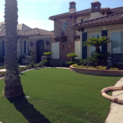 Artificial Turf Winter Springs Florida Landscape Front