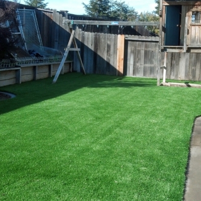 Fake Grass Altoona Florida Lawn Back Yard