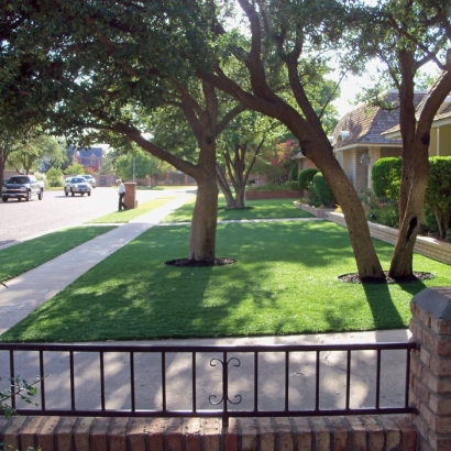 Fake Grass Citrus Ridge Florida Lawn