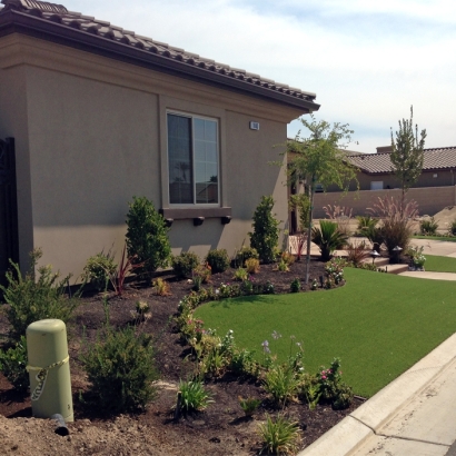 Fake Grass Clermont Florida Landscape Front Yard