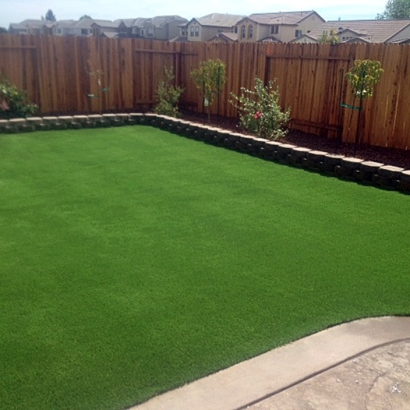 Fake Grass Coleman Florida Landscape Pools Back Yard