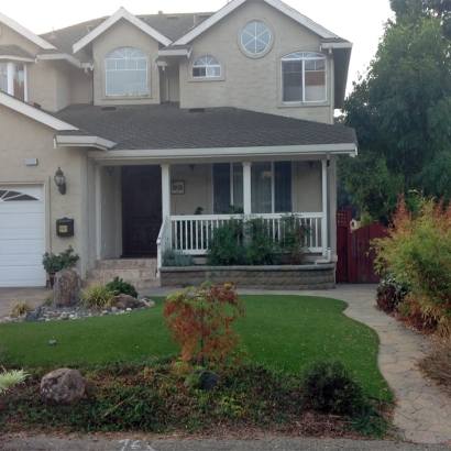 Fake Grass Medulla Florida Landscape Front Yard