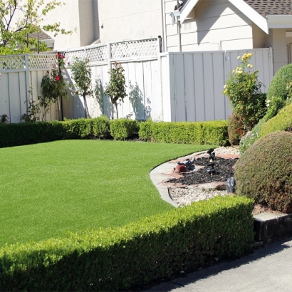 Fake Grass Pierson Florida Landscape Back Yard