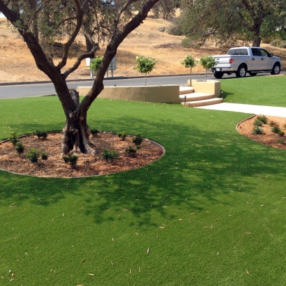 Fake Grass Poinciana Florida Landscape Front Yard