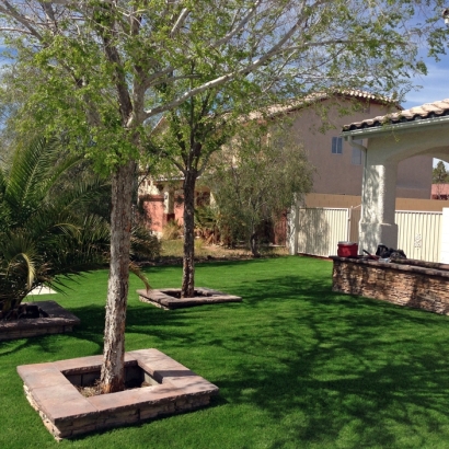 Fake Grass Saint Cloud Florida Lawn Back Yard Snow