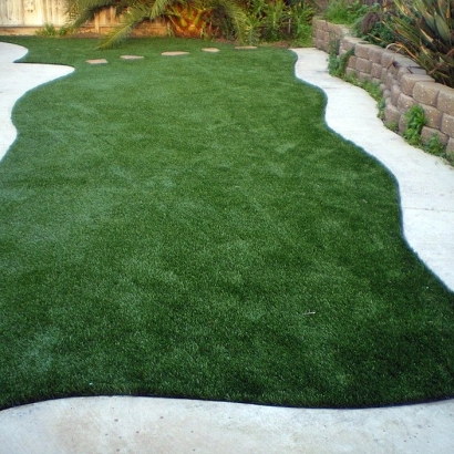 Fake Grass Silver Lake Florida Lawn Back Yard