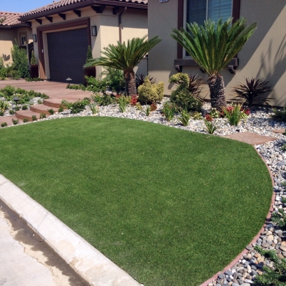 Fake Grass South Apopka Florida Landscape Commercial Landscape