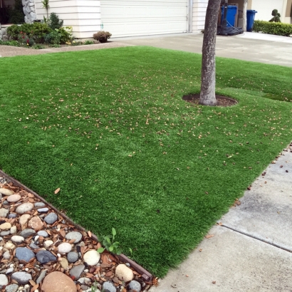 Fake Grass South Patrick Shores Florida Lawn Back Yard