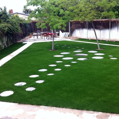 Fake Grass Southchase Florida Lawn Back Yard