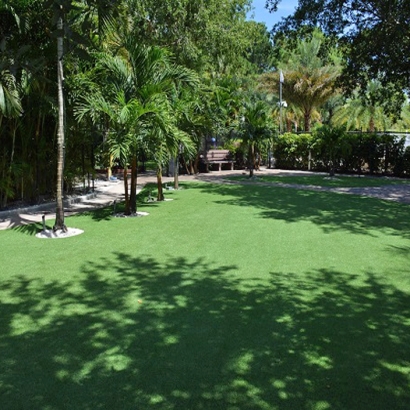 Fake Grass Wekiwa Springs Florida Lawn Parks