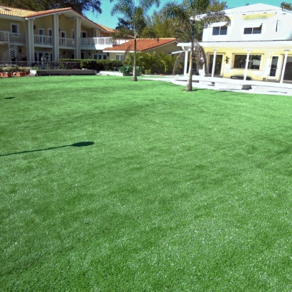 Fake Turf Campbell Florida Landscape Front Yard