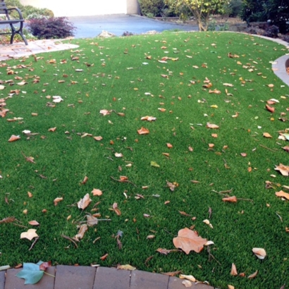 Fake Turf Crystal Lake Florida Lawn Front Yard