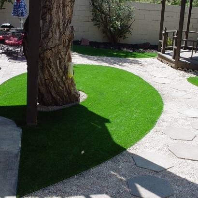 Fake Turf Montverde Florida Lawn Swimming Pools Commercial