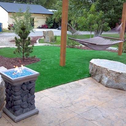 Fake Turf Mount Dora Florida Lawn Back Yard