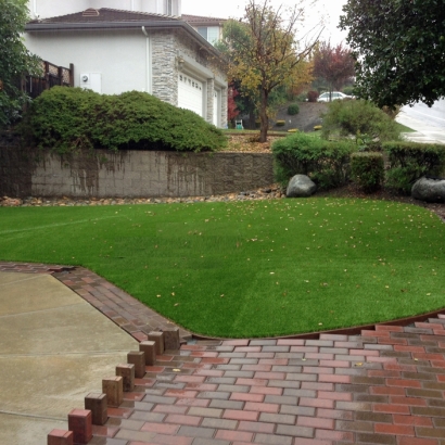 Fake Turf Rockledge Florida Lawn Back Yard