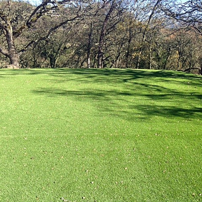 Fake Turf Saint Leo Florida Lawn