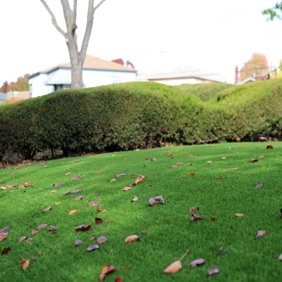 Fake Turf Trilby Florida Landscape Front Yard