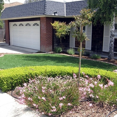 Fake Turf West Melbourne Florida Landscape Back Yard