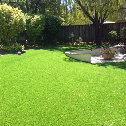 Fake Turf Williamsburg Florida Landscape Front Yard